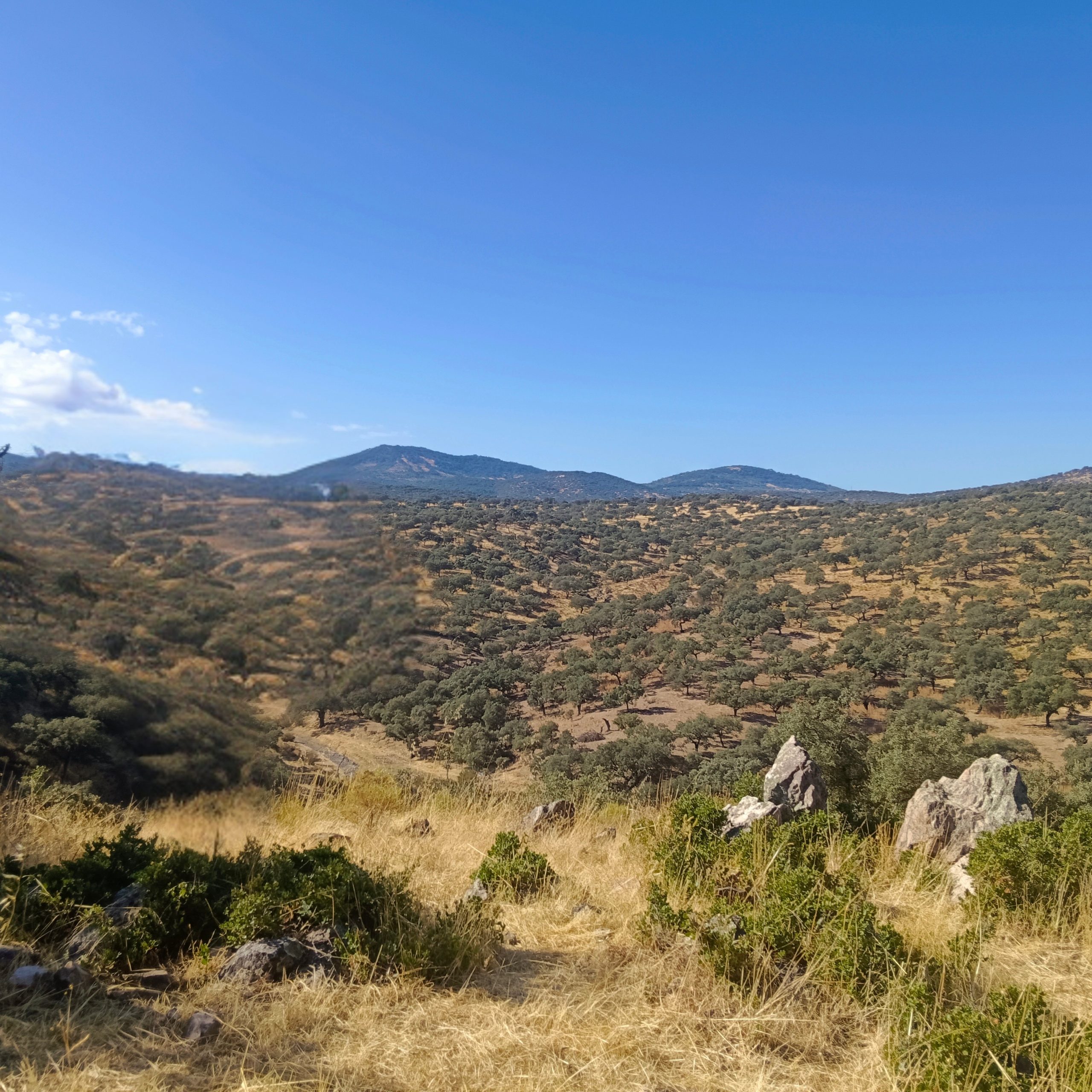 0d8537d0 b580 4798 a351 b9ffda76fda2 scaled