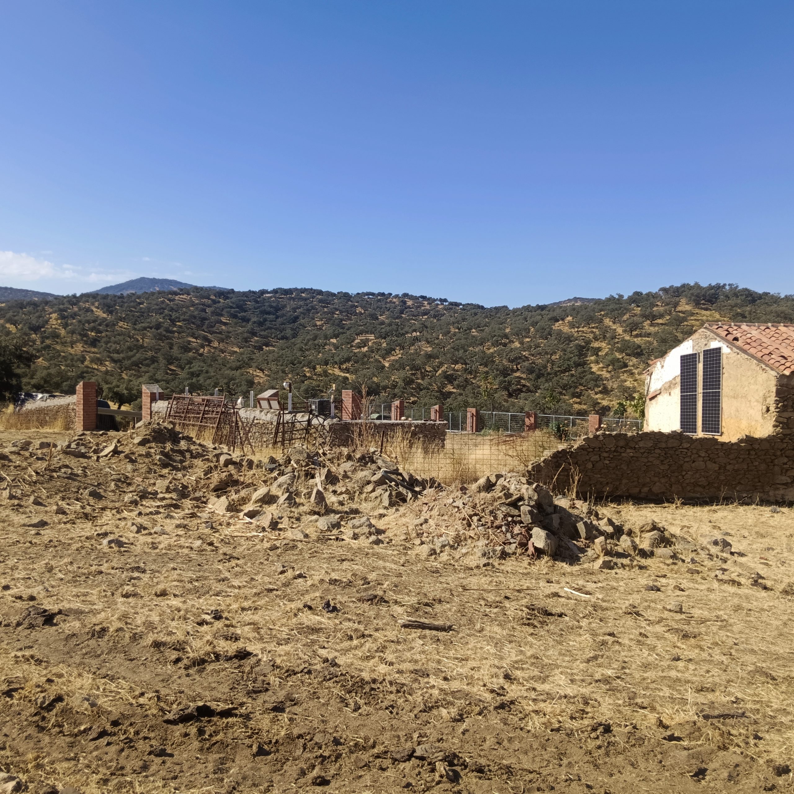 CABEZA LA VACA 11 scaled