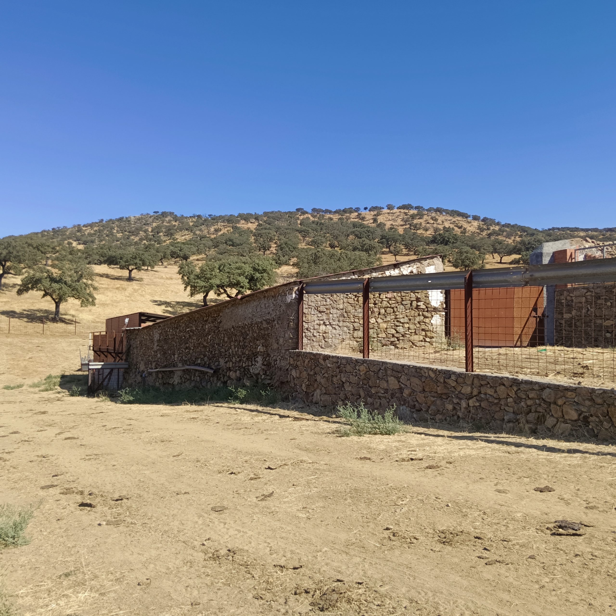 CABEZA LA VACA 19 scaled