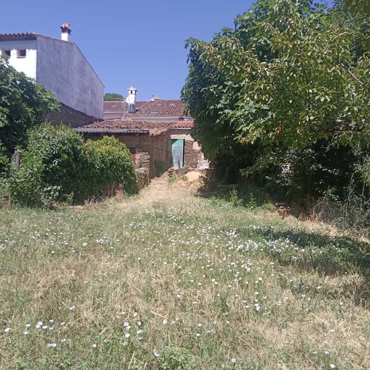 Casa huerta Los Marines 8