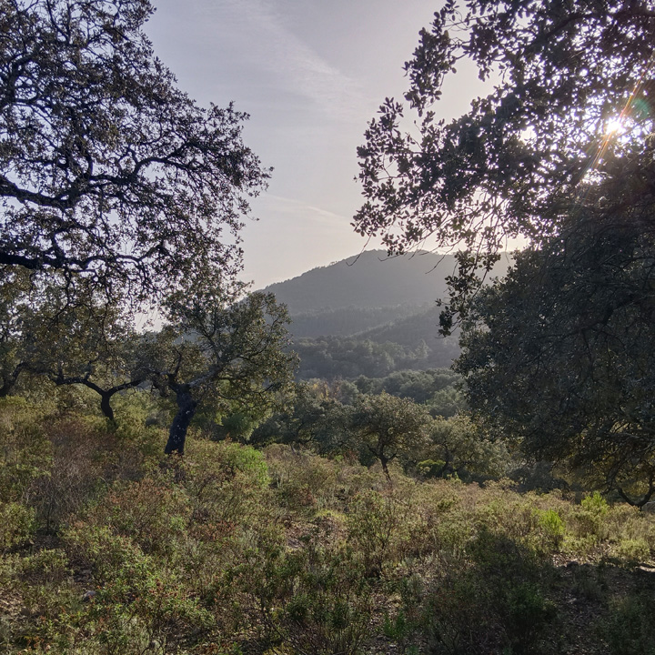 Encanto rustico en plena sierra 1