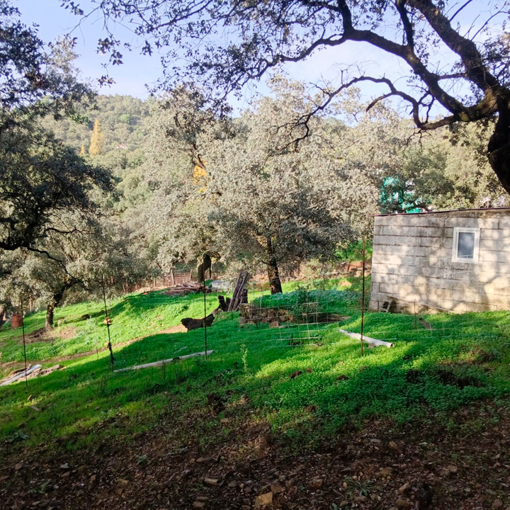Finca Rustica Alajar P (9)