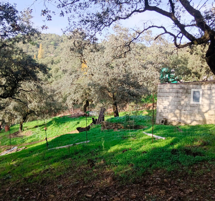 Encanto rústico en plena sierra