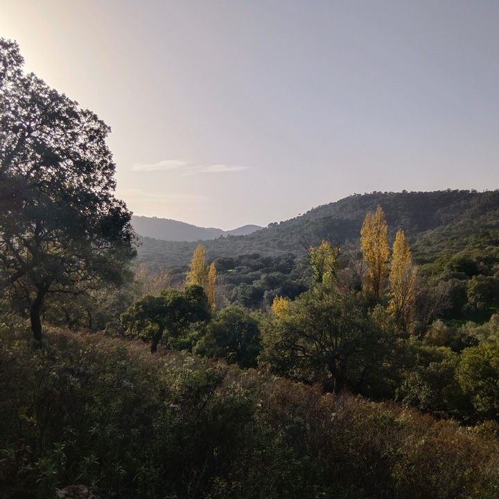 Encanto rustico en plena sierra 14