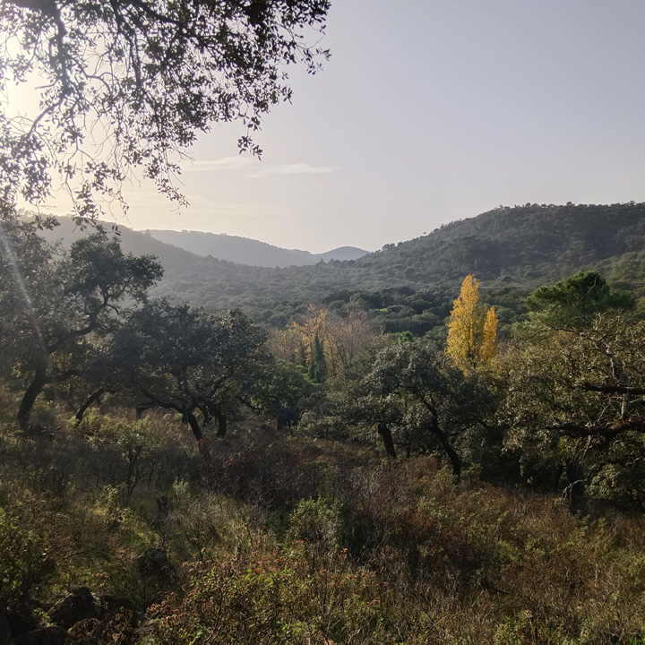 Encanto rustico en plena sierra 15