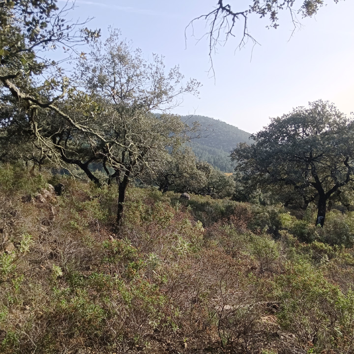 Encanto rustico en plena sierra 17