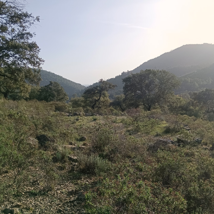 Encanto rustico en plena sierra 18