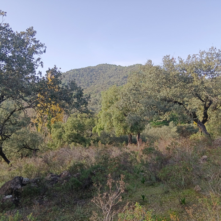 Encanto rustico en plena sierra 23