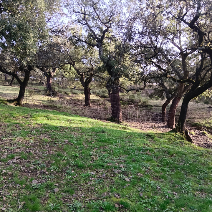 Encanto rustico en plena sierra 3