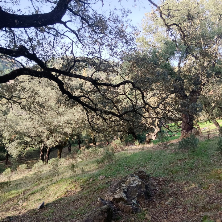 Encanto rustico en plena sierra 4