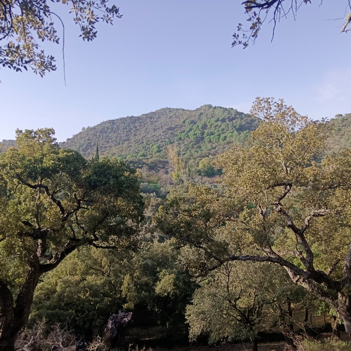 Encanto rustico en plena sierra 5
