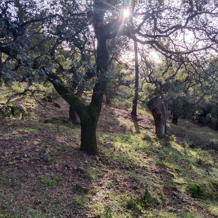 Encanto rustico en plena sierra 6