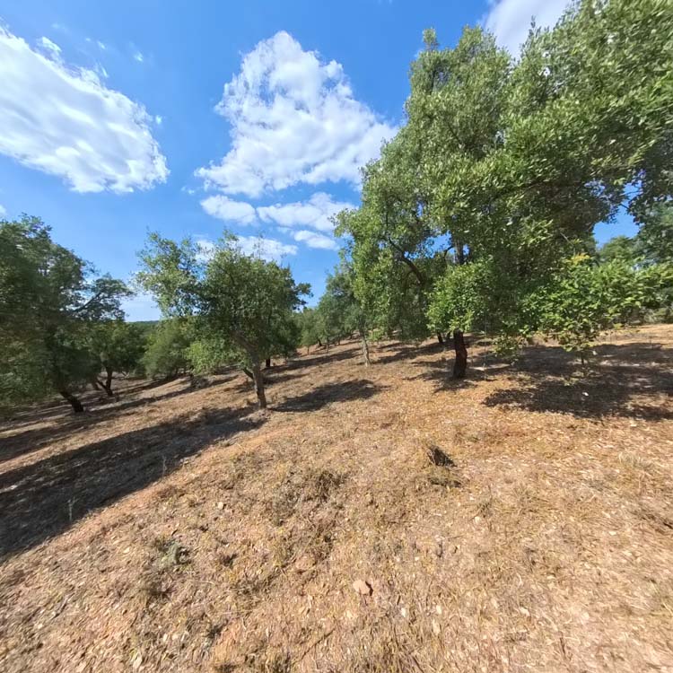 FUENTEHERIDOS LIDIA 47