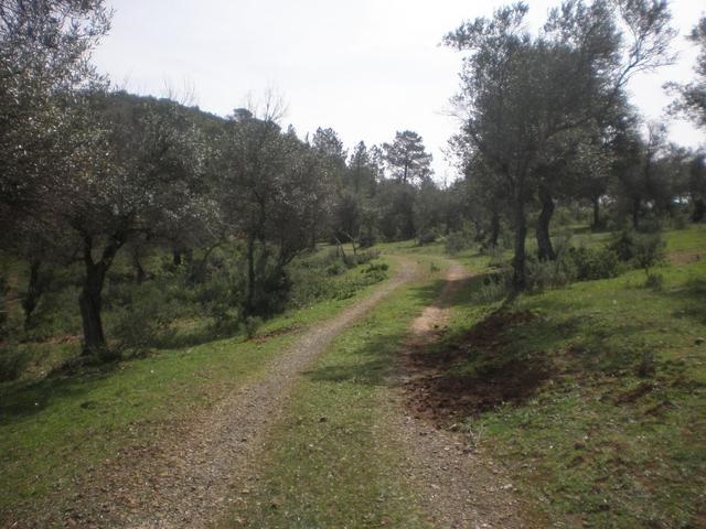 Finca de aprovechamiento rural y ganadero 5 Finca rustica con buena ubicacion 1