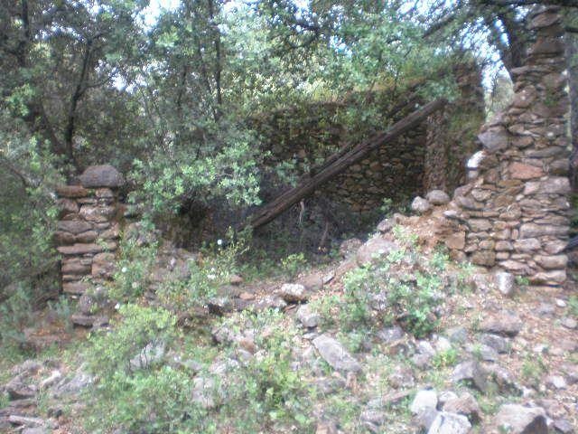 Finca de aprovechamiento rural y ganadero 6 Finca rustica con buena ubicacion 2