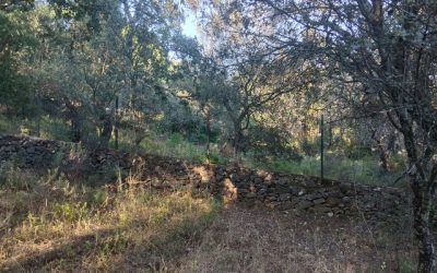 Finca de aprovechamiento rural y ganadero