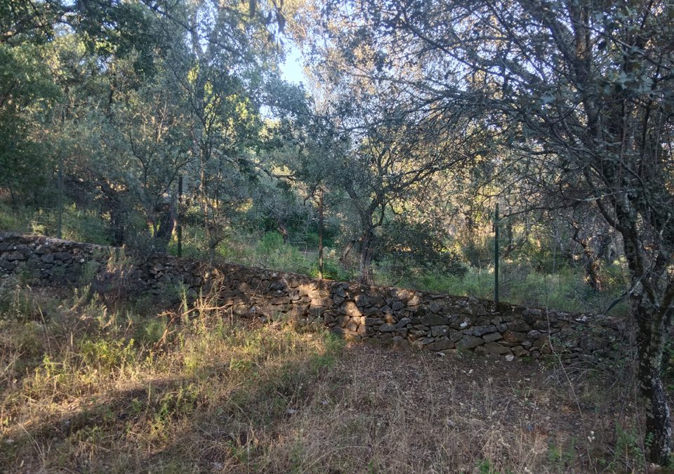 Finca de aprovechamiento rural y ganadero