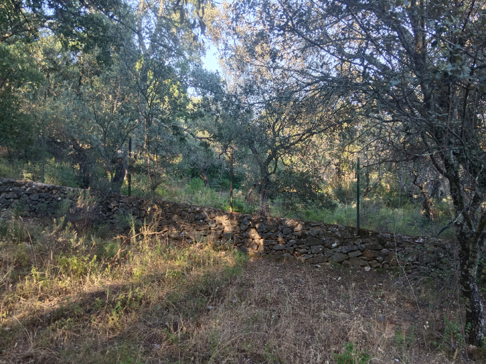 Finca de aprovechamiento rural y ganadero 1 Finca rustica con buena ubicacion 4