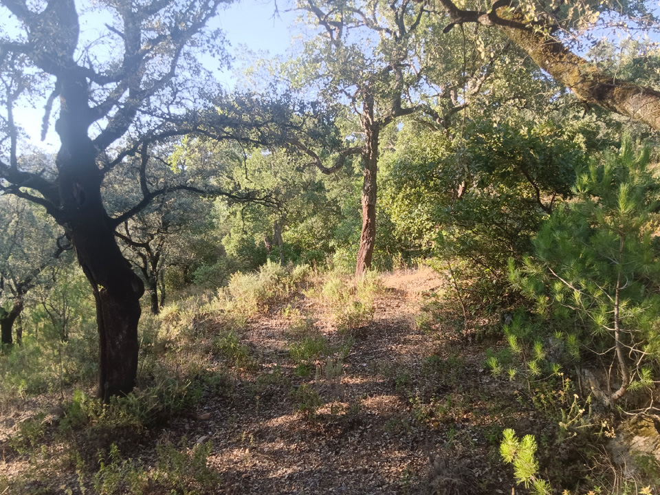 Finca de aprovechamiento rural y ganadero 3 Finca rustica con buena ubicacion 7