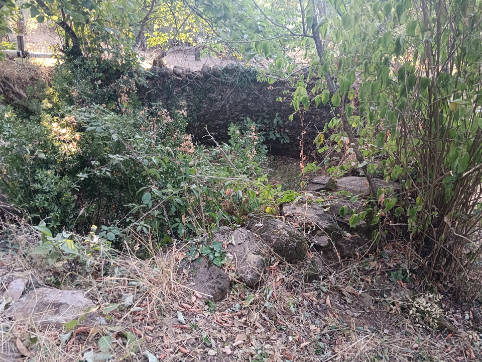 Huerta con arboles frutales 10