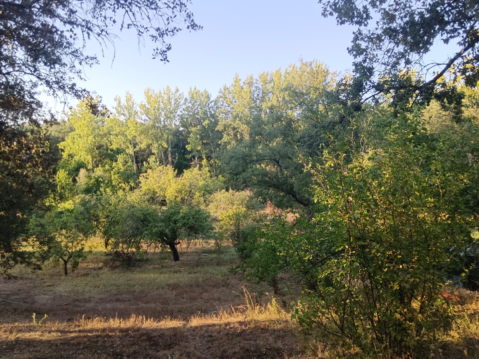 Huerta con arboles frutales 9