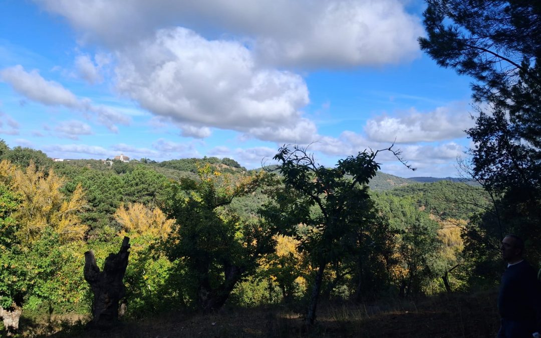 Finca Rústica de Castaños