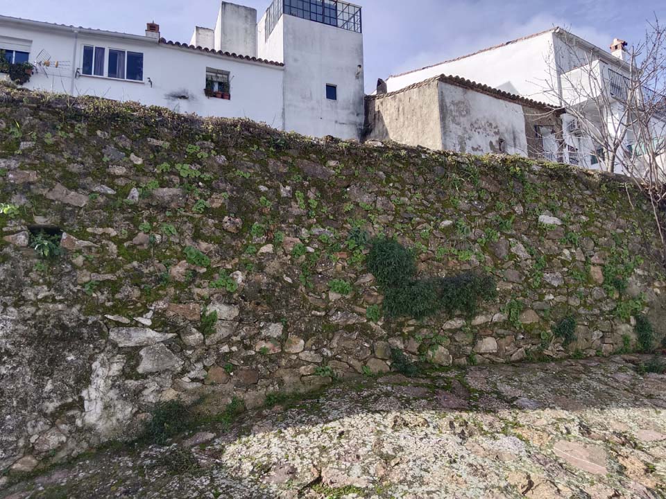 IMG 20240110 113044