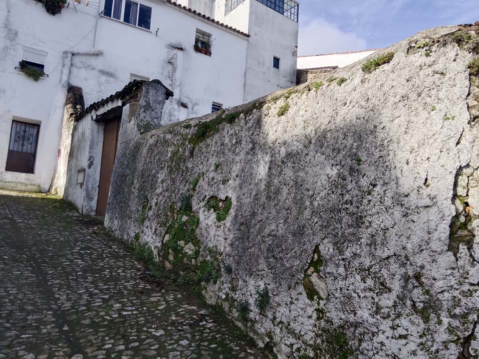IMG 20240110 113051