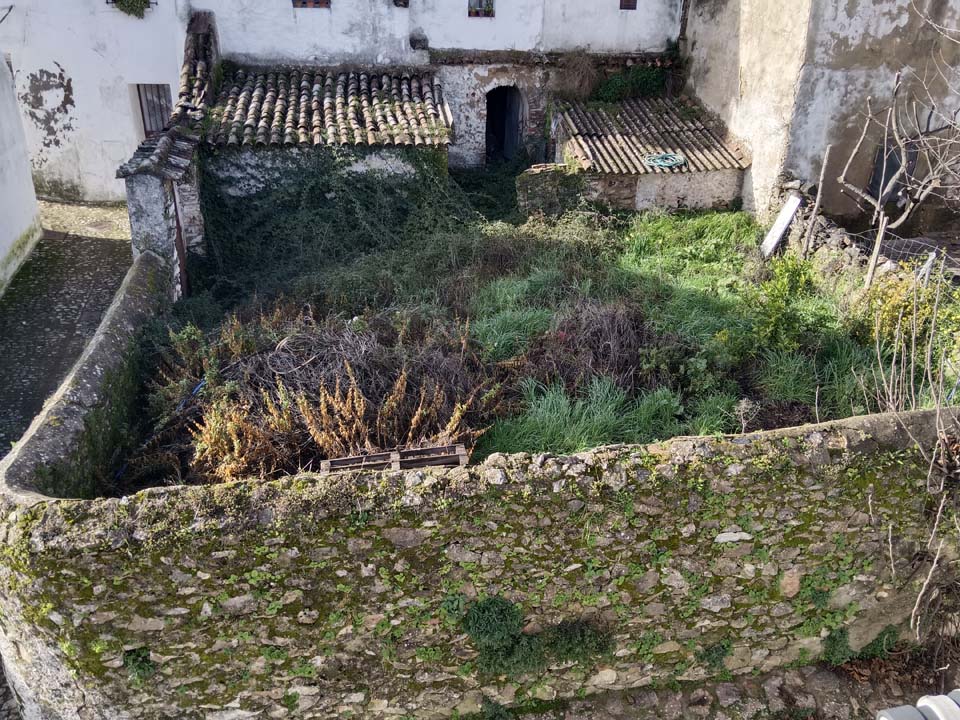 IMG 20240110 113318