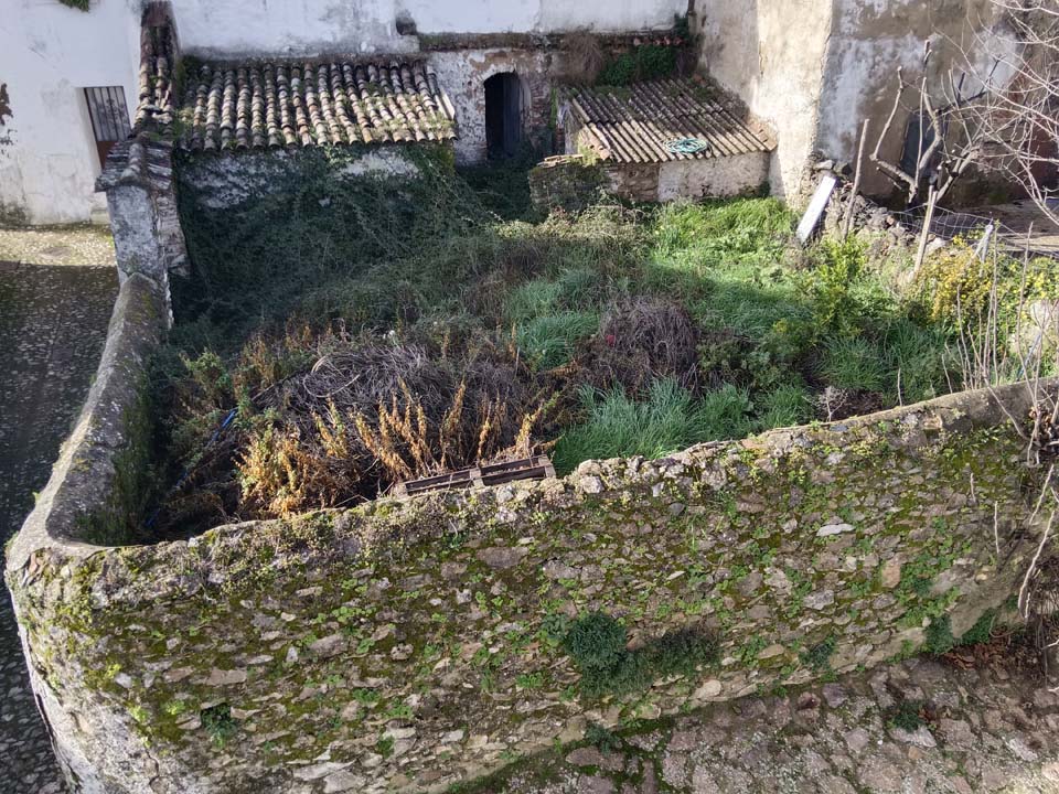 IMG 20240110 113345