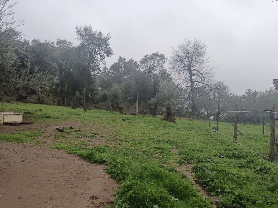 IMG 20240210 125307