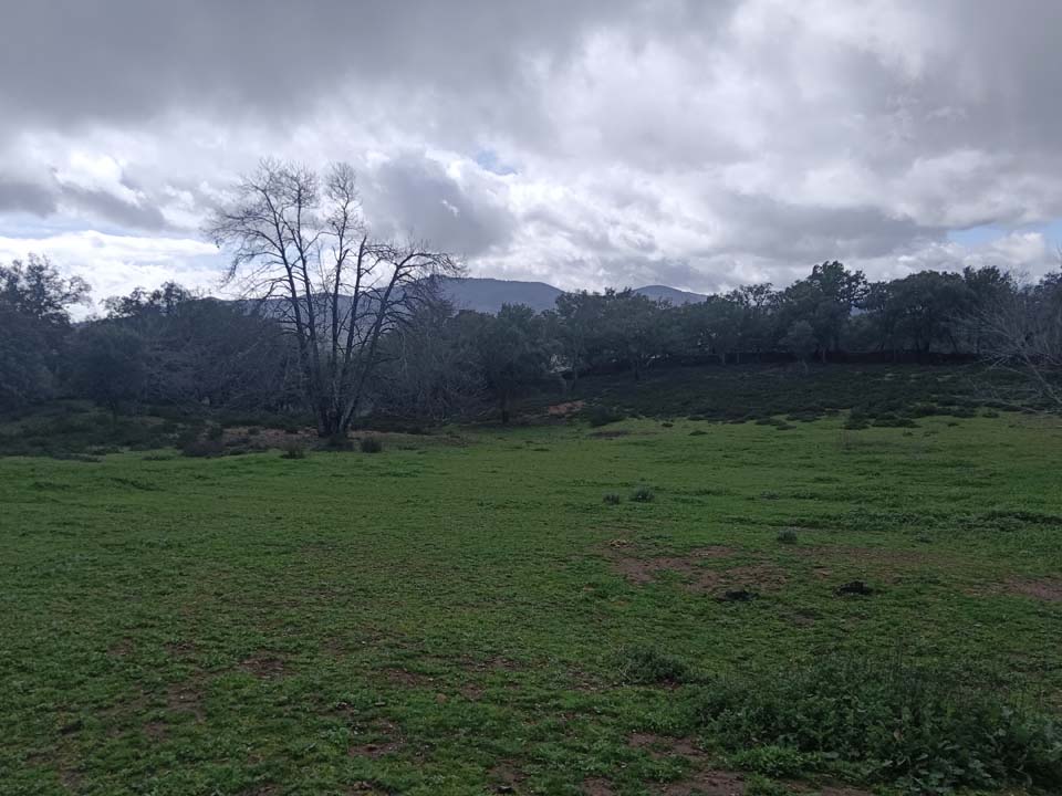 IMG 20240210 141623