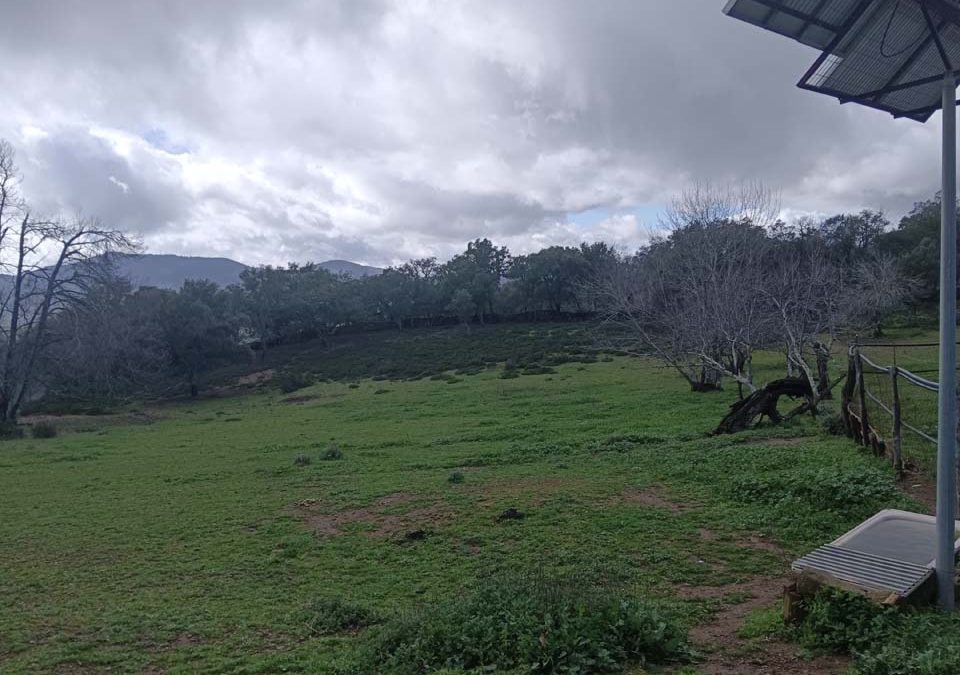Parcela rústica cerca de Jabugo
