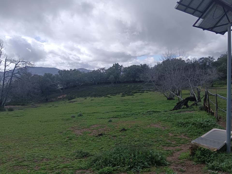 IMG 20240210 141624