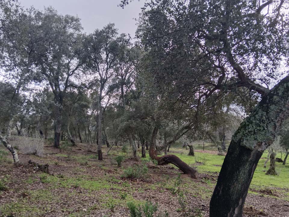 IMG 20240210 141657