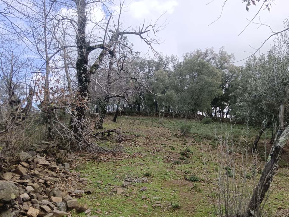 IMG 20240210 141758