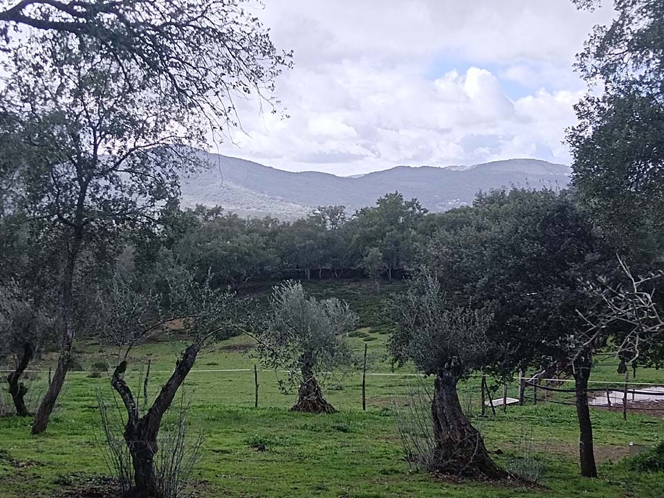 IMG 20240210 141846