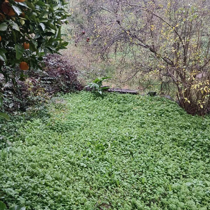 IMG 20241219 101011