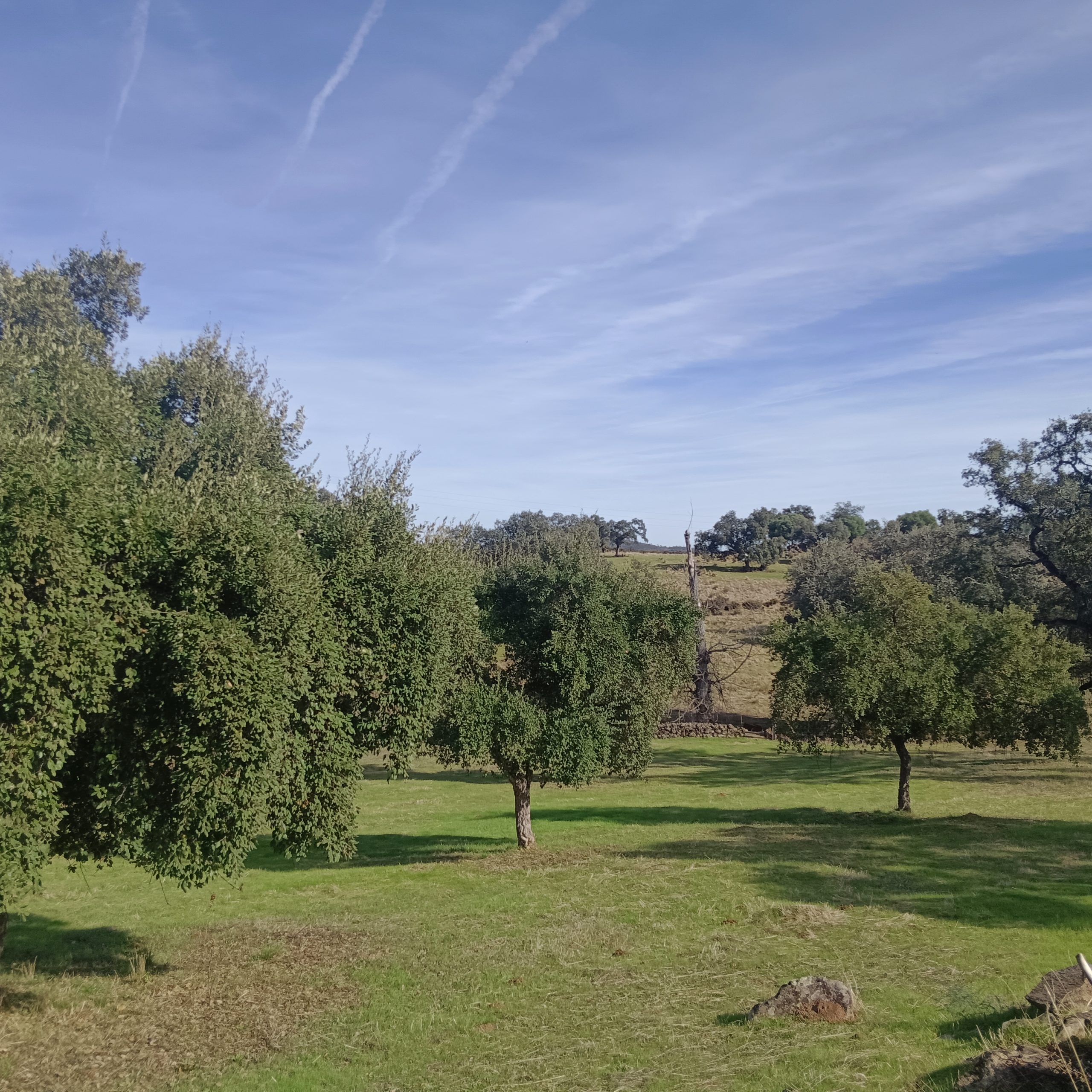 IMG 20251111 140516 scaled