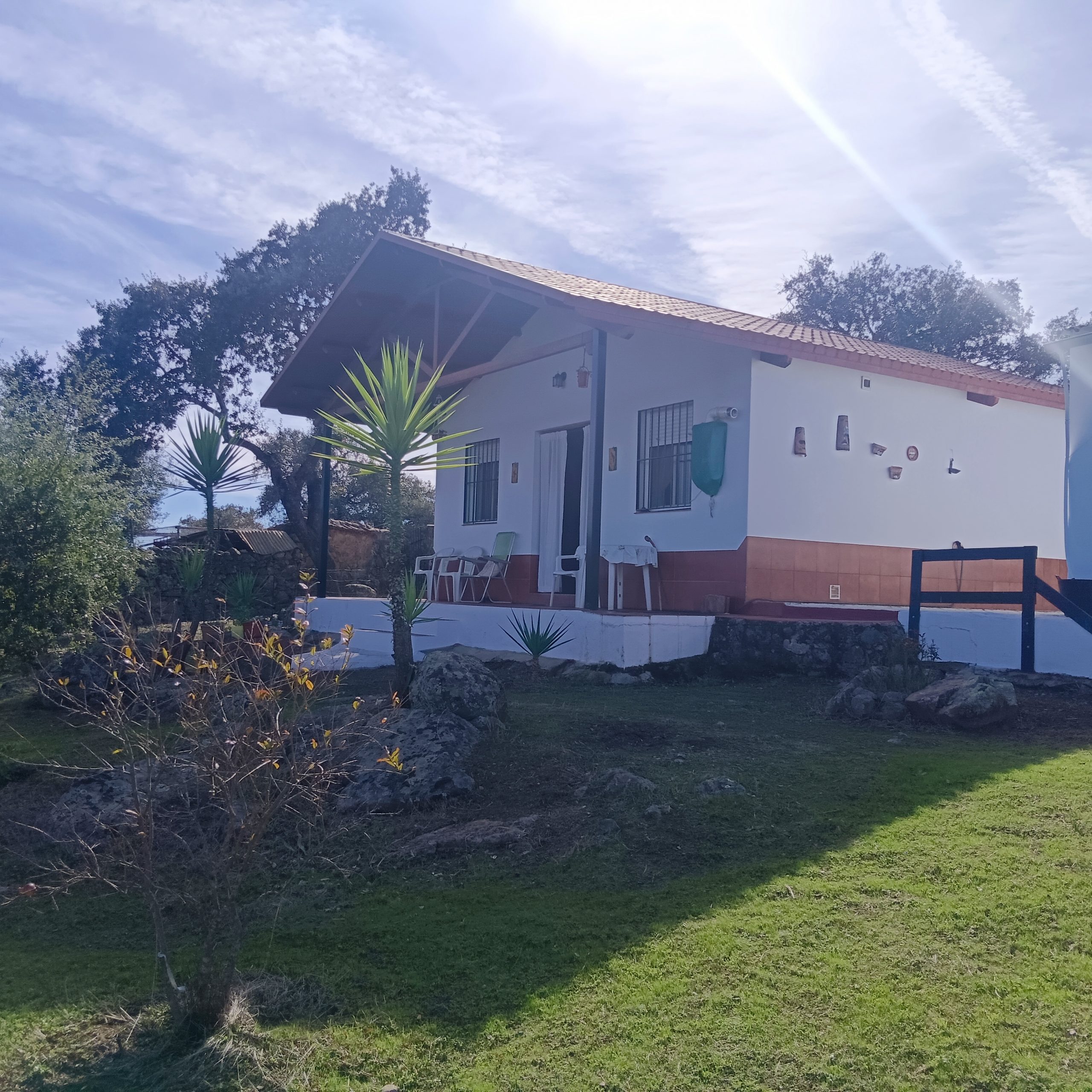 IMG 20251111 140523 scaled