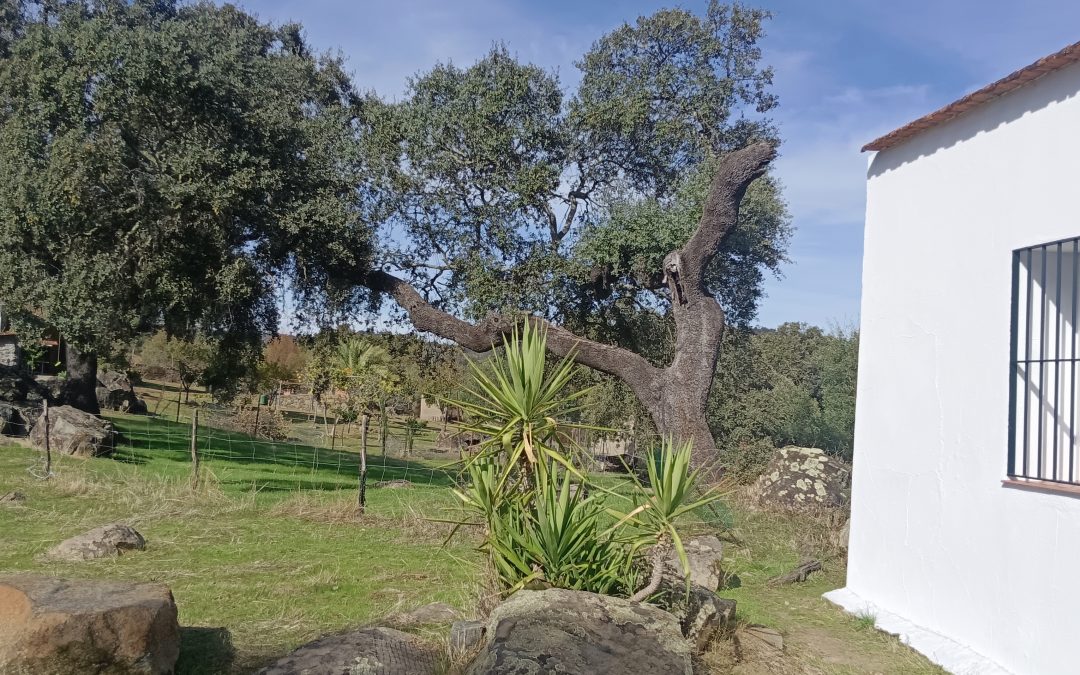 Casa Rural Sierra de Sevilla