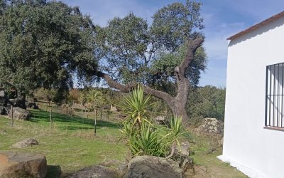 Casa Rural Sierra de Sevilla