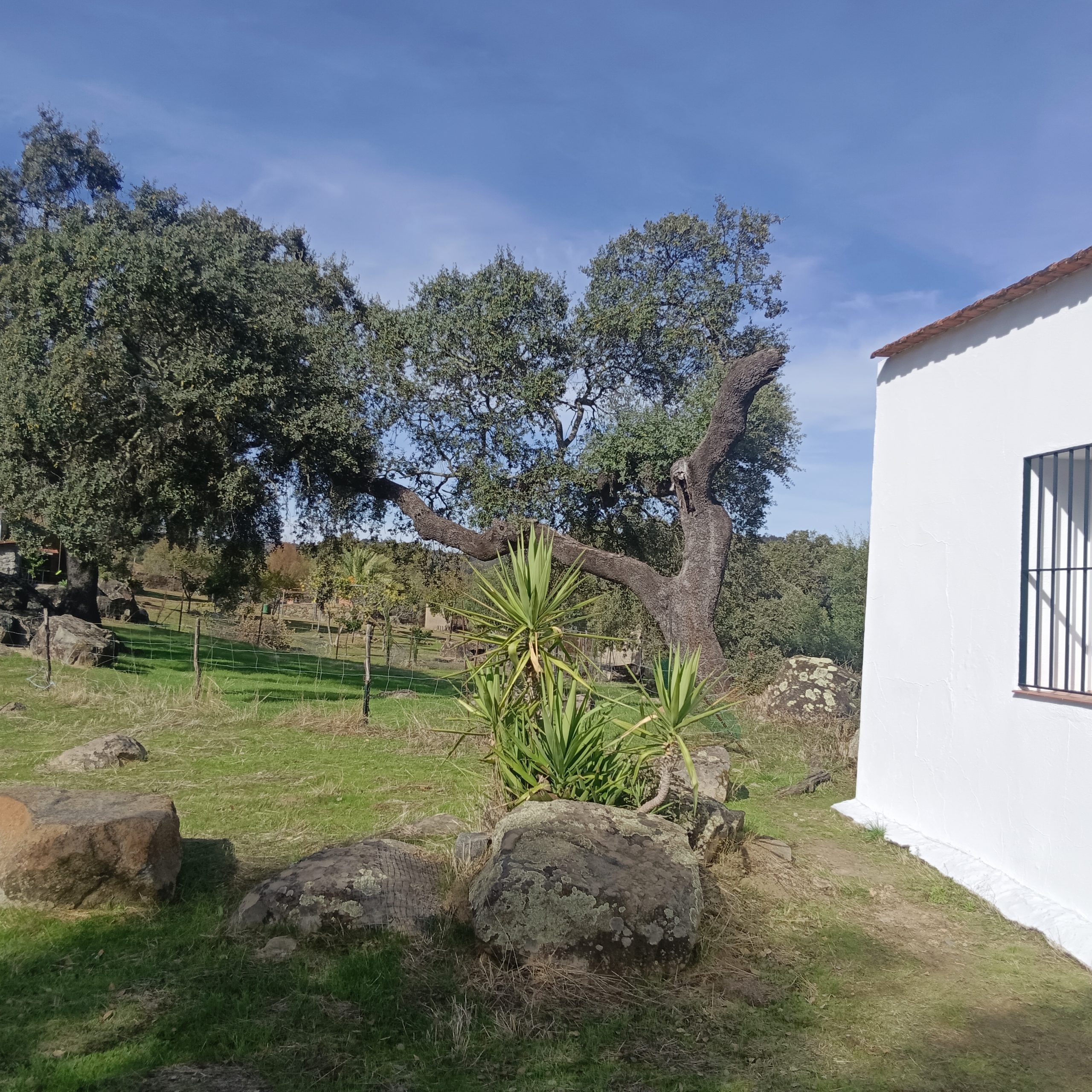 IMG 20251111 140557 scaled