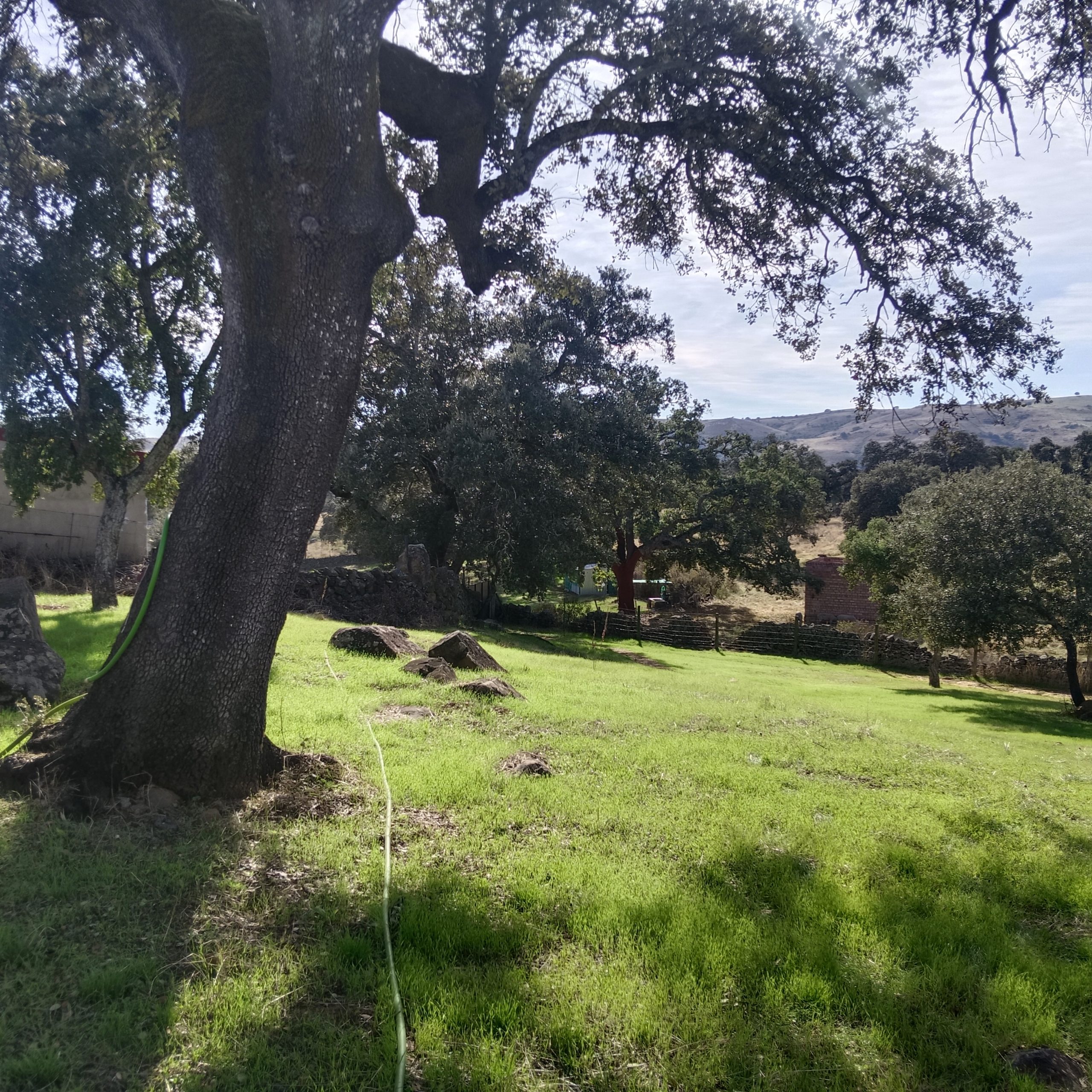 IMG 20251111 140602 scaled