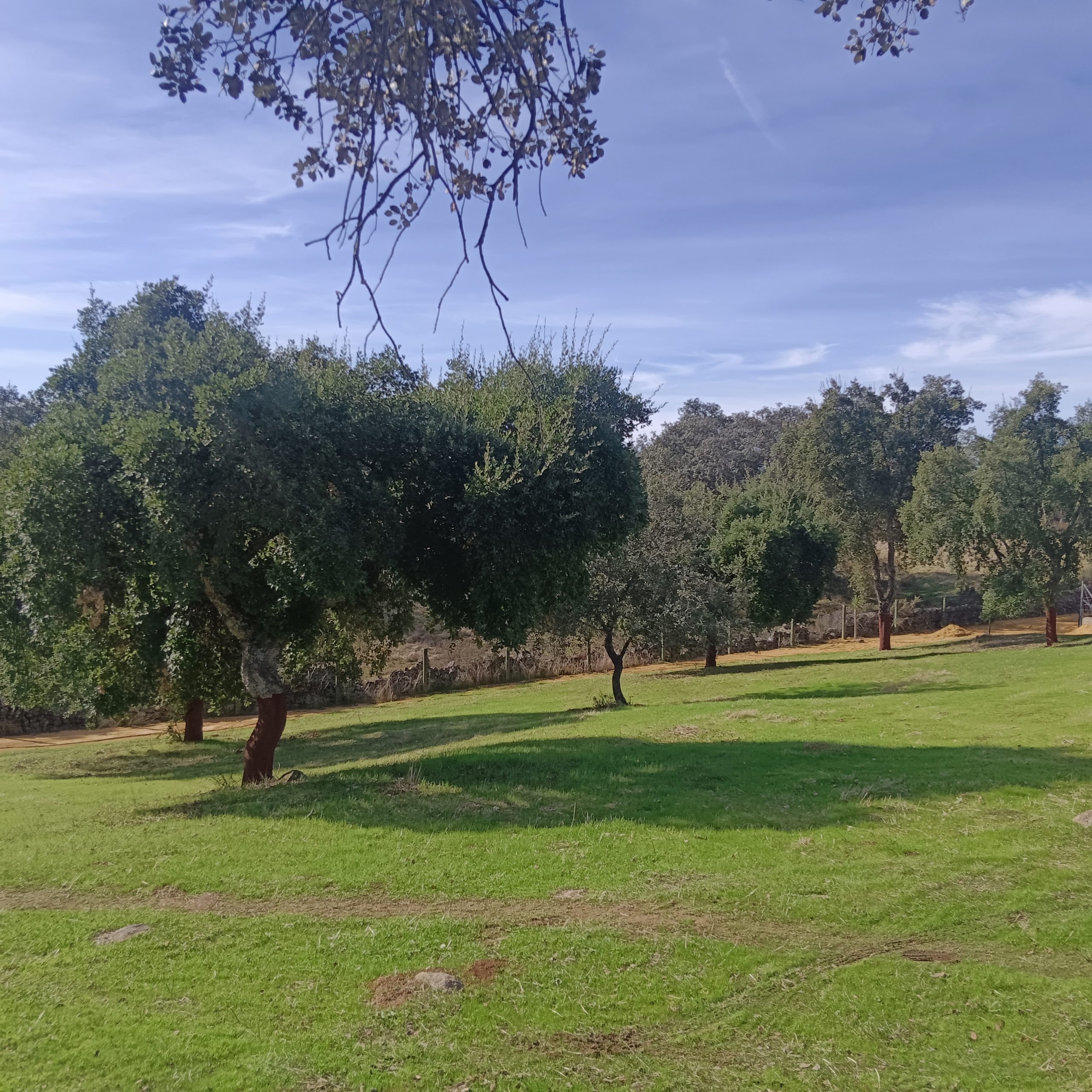 IMG 20251111 140613 scaled