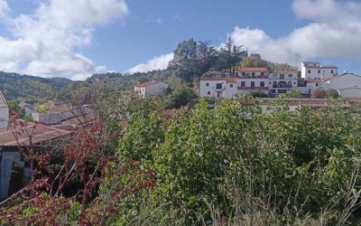 Precioso terreno edificable