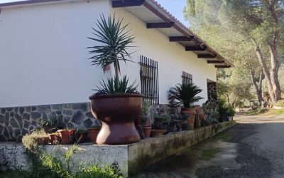 Magnífica casa Rural