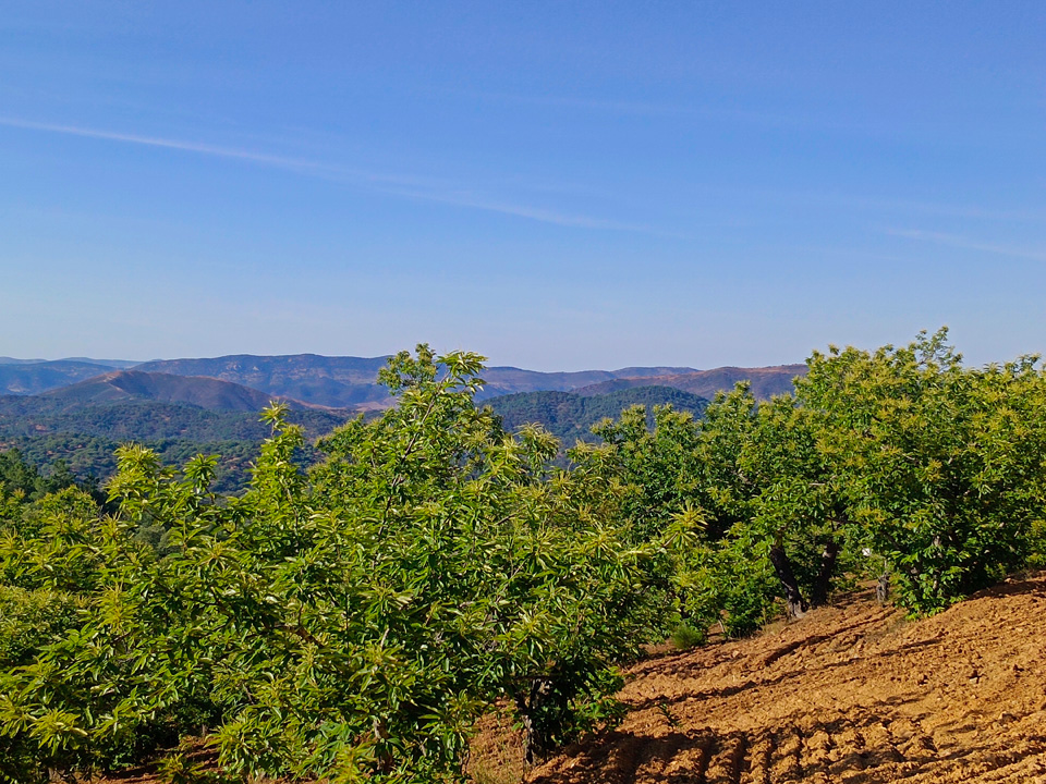 Naturaleza y tradicion en Jabugo 1