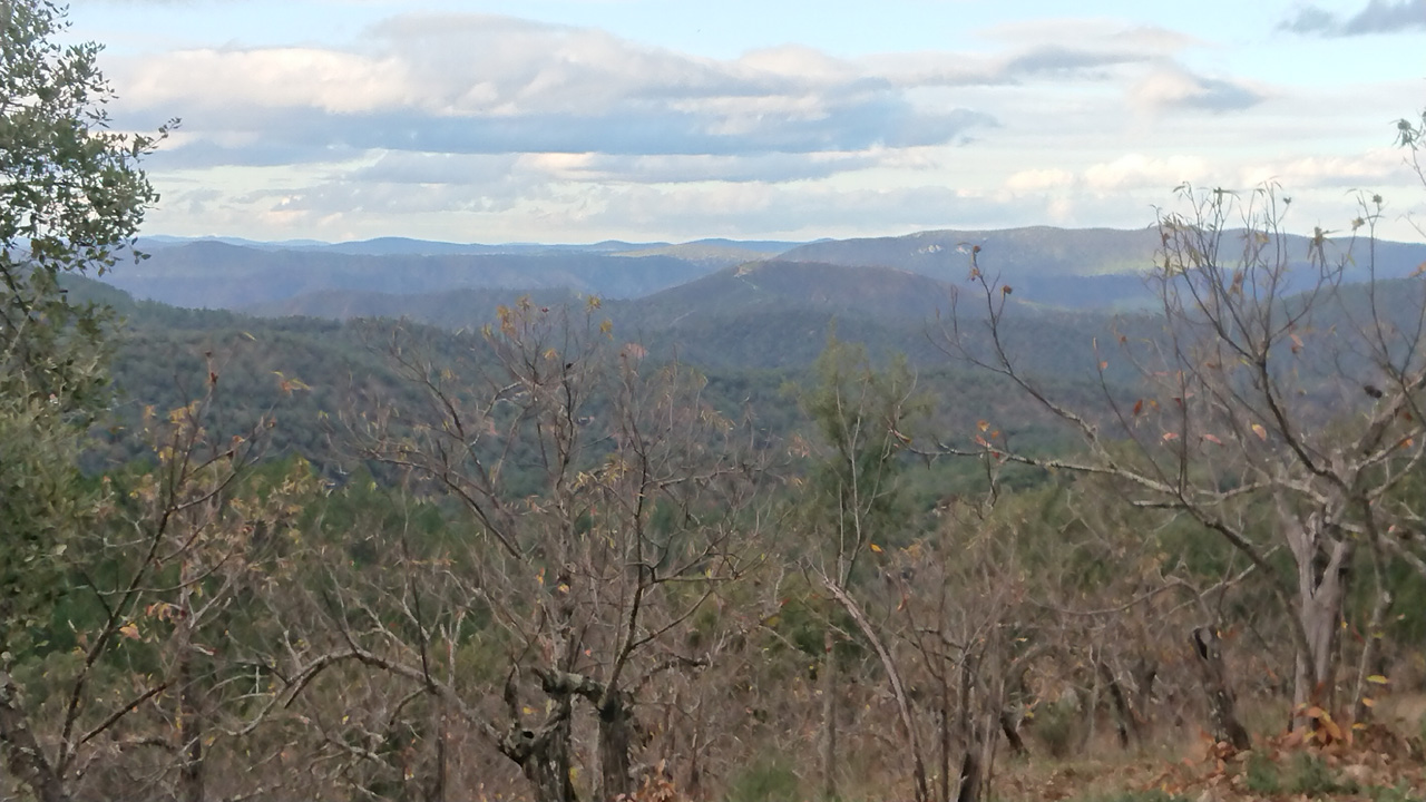 Naturaleza y tradicion en Jabugo 14