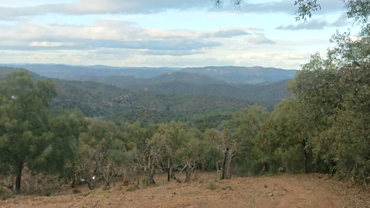Naturaleza y tradicion en Jabugo 15